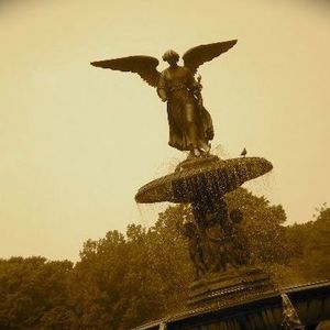 Meet your Posher, Jane